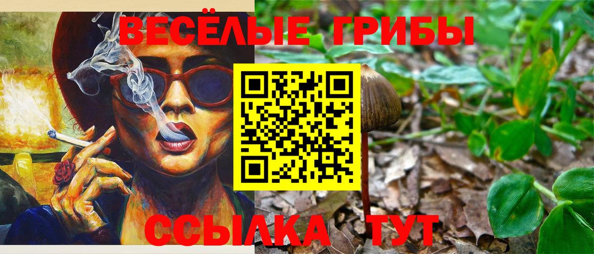 Галлюциногенные грибы мухоморы Тайшет